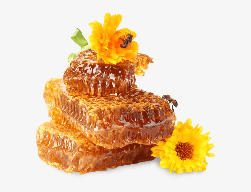Naturally Pure Honey Straight - Honey And Bee Png, transparent png download