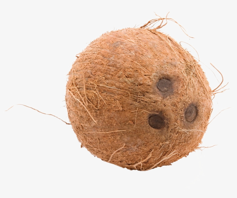 Brown Cocunut Png Image, transparent png download