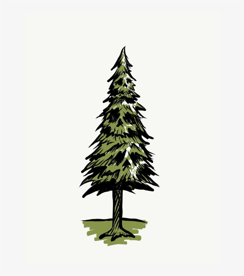 "skull Pine" - Skull, transparent png download