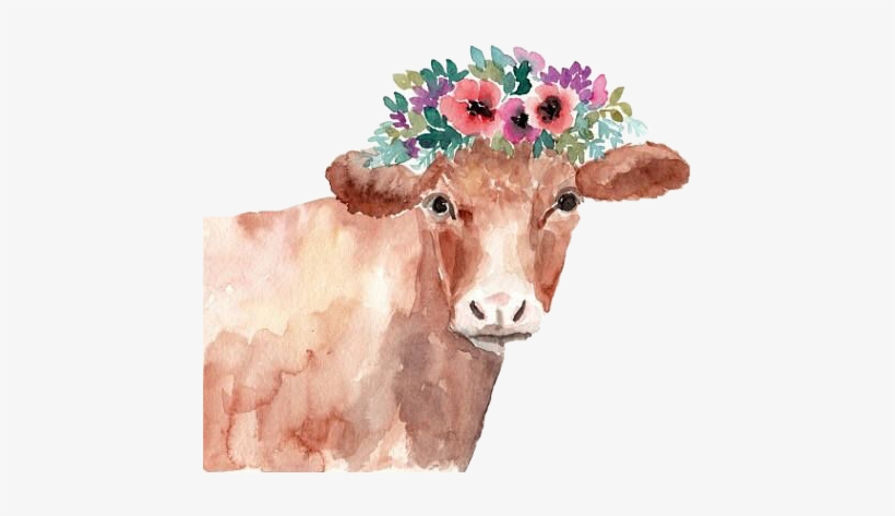 Cow Png, transparent png download