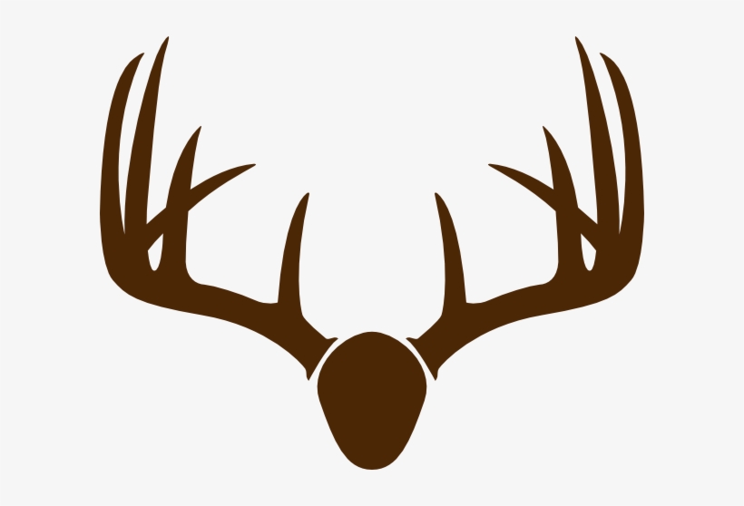 Watercolor Deer Antlers Png - Deer Antler Drawing, transparent png download
