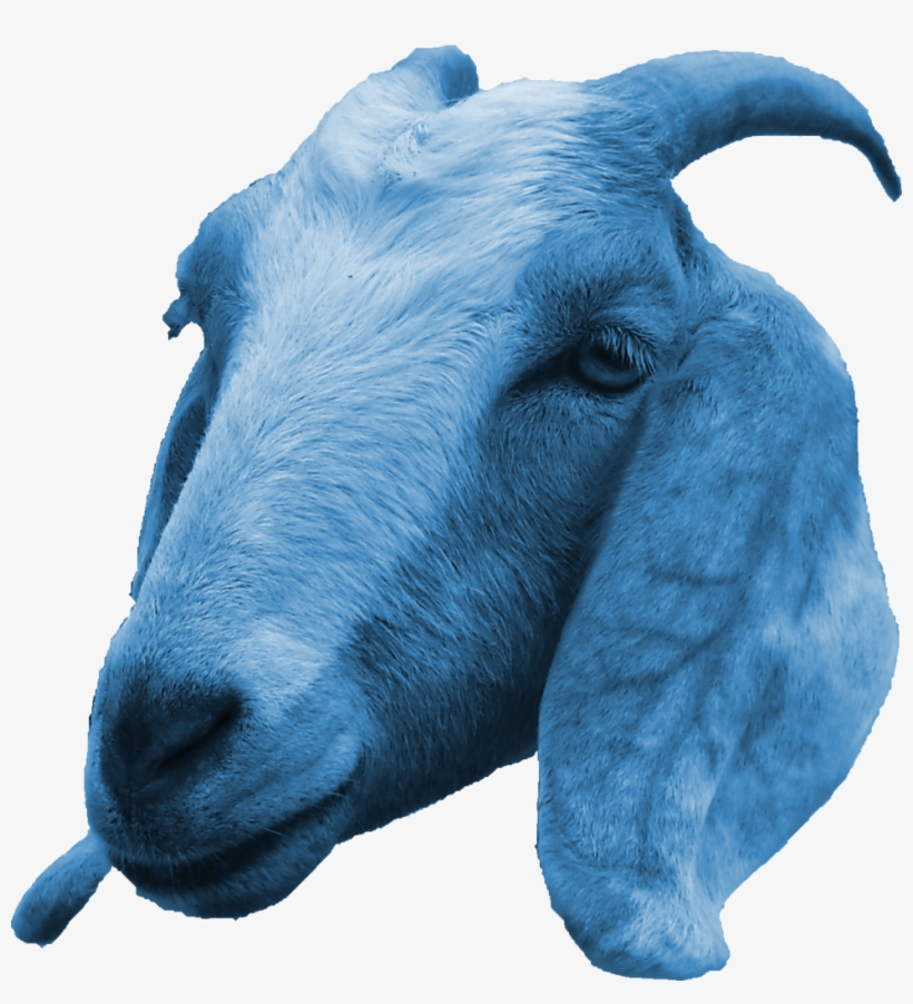 Goat Png Download - Give A Goat Give A Goat Yard Sign, transparent png download