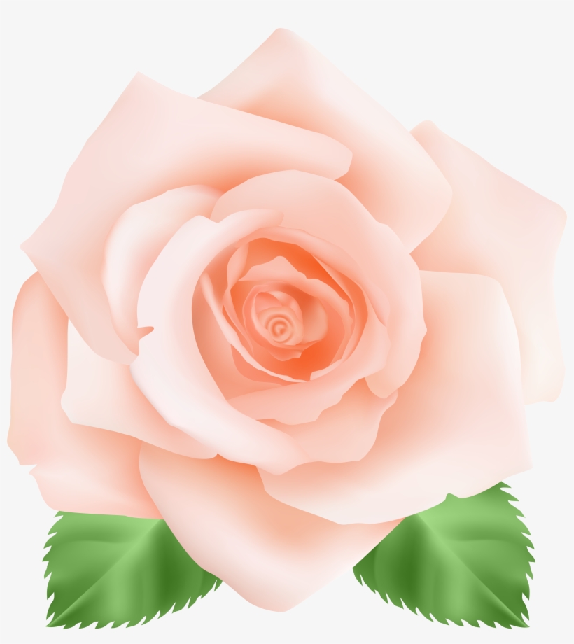 Png Clip Art Image Gallery Yopriceville High, transparent png download