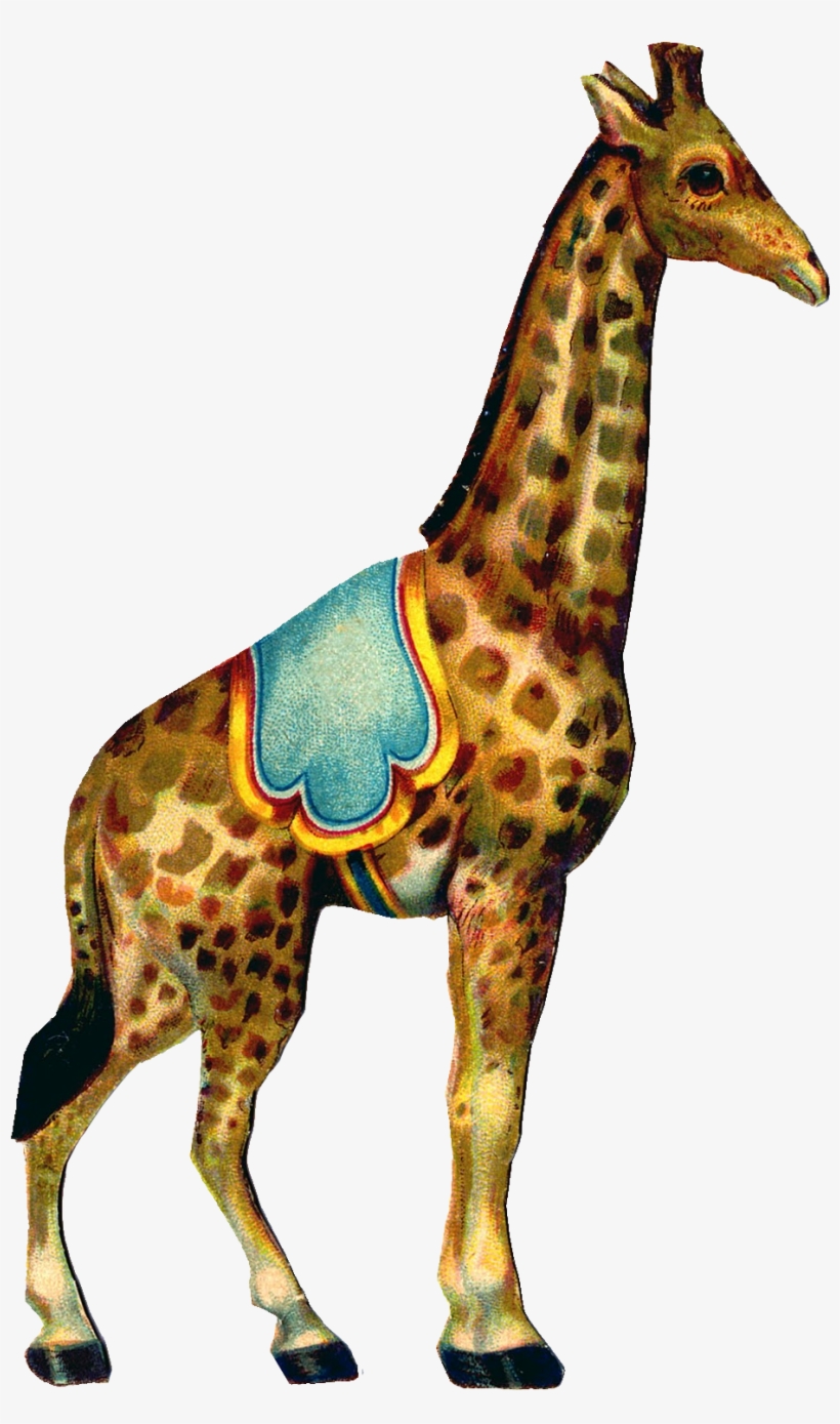 A Bit Of A Silly Combination Today - Vintage Circus Clip Art, transparent png download