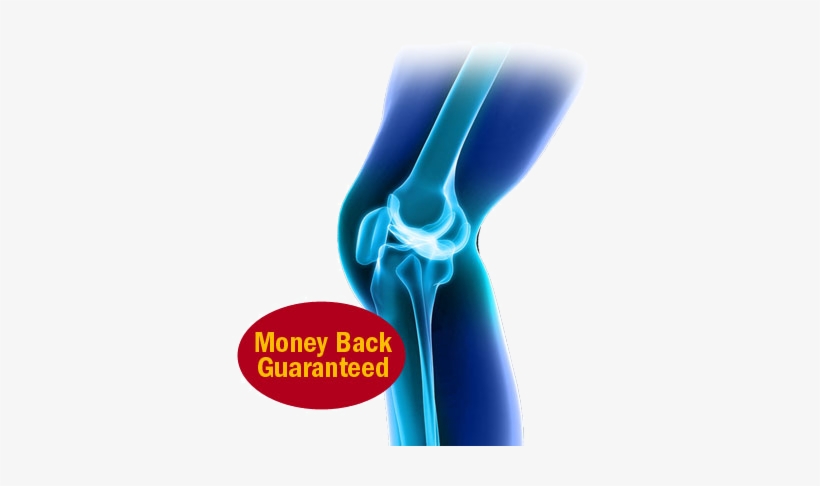 Arthro8 Relieves, Rebuilds, And Restores Joints In - Joint, transparent png download