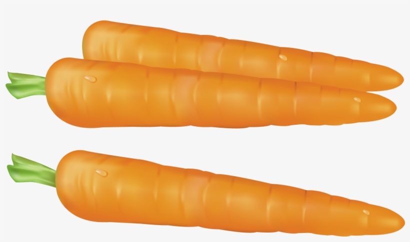 Carrots Png Gallery Yopriceville High Quality Images - Carrot Clipart Transparent Background, transparent png download