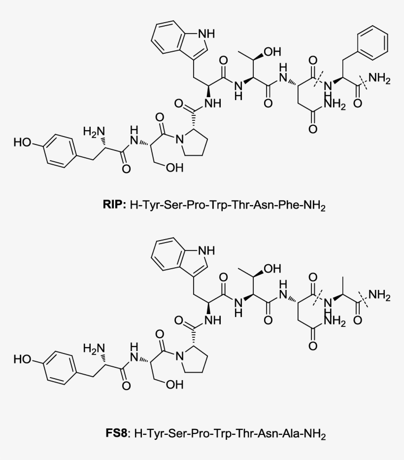 Chemical Structures Of Rip And Fs8 - Science, transparent png download