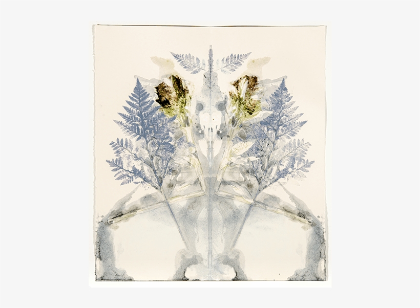 Flowers And Watercolor On Paper 31″ X 28″ - Drawing, transparent png download