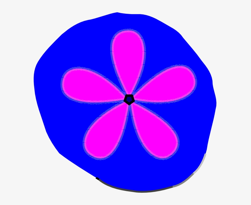 Sand Dollar Svg Clip Arts 600 X 589 Px, transparent png download