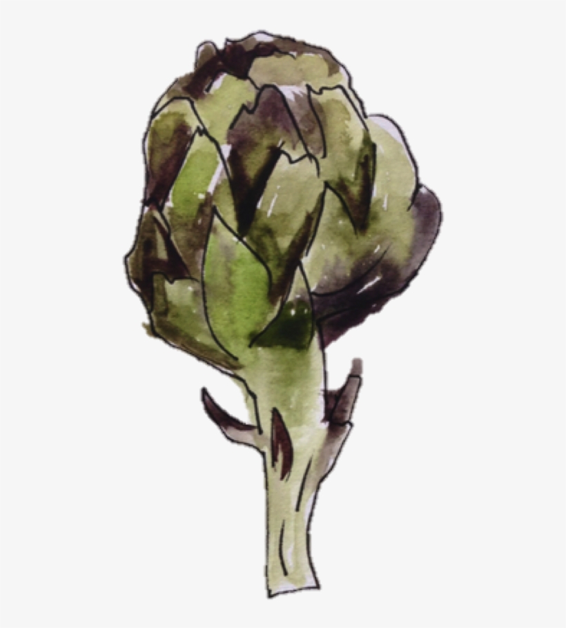 Artichoke, transparent png download