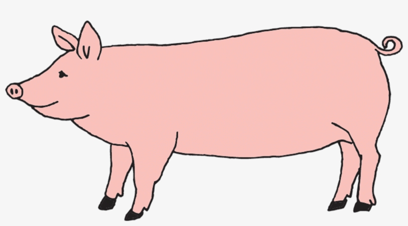 Pig - Tattly Temporary Tattoos / Farm Animal Set, transparent png download