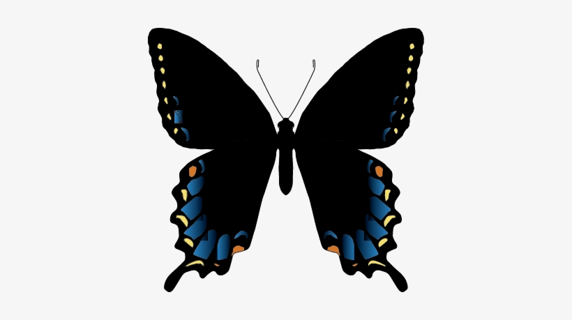 Papilioglaucusmimetic - Real Azul Mariposas, transparent png download