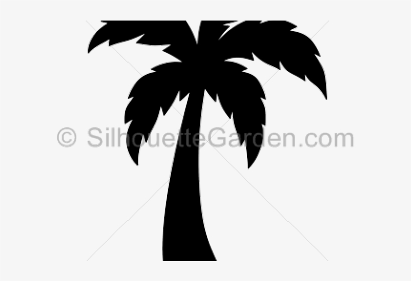 Palm Tree Silhouette Png Silhouette Of A Palm Tree Transparent