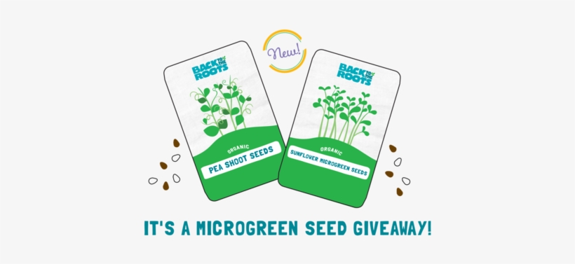 Artboard 1 Copy - Omaha, transparent png download