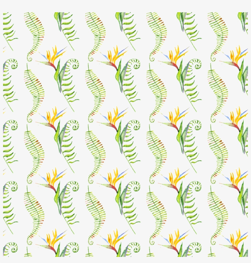 Hand Painted Strelitzia Ornamental Plant Background - Photograph, transparent png download