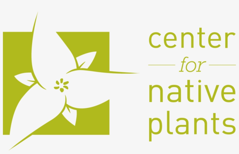 Center For Native Plants Transparent 990×593 - Logo, transparent png download