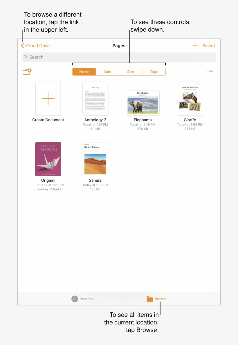 The Browse View Of The Document Manager With A Location - Document, transparent png download