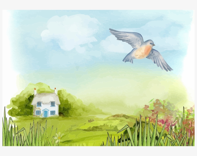 Medium Image - Save Birds And Animals, transparent png download