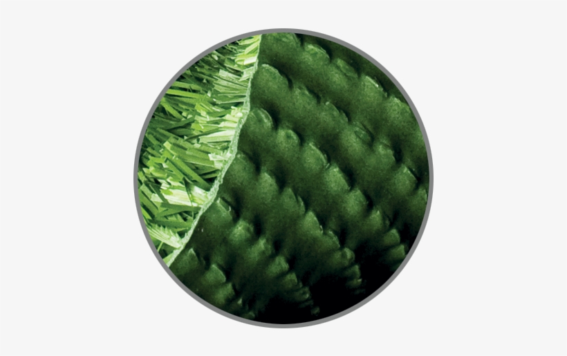 Closeup Image Of Synlawn Enviroloc - California, transparent png download