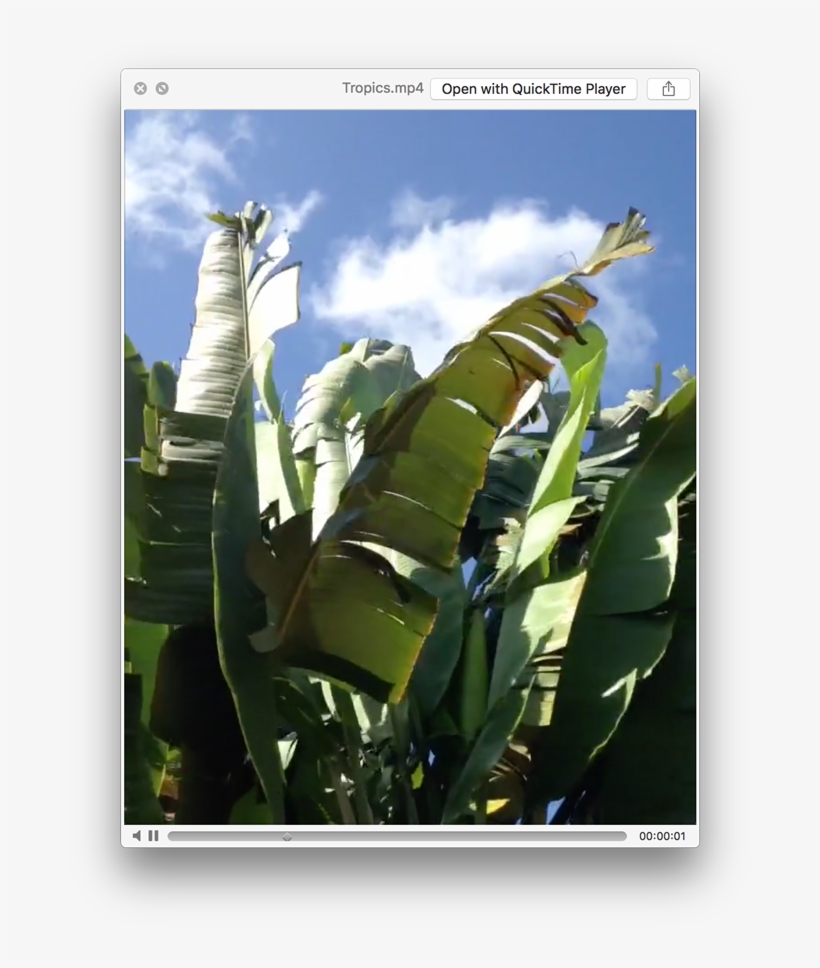 Plantation, transparent png download