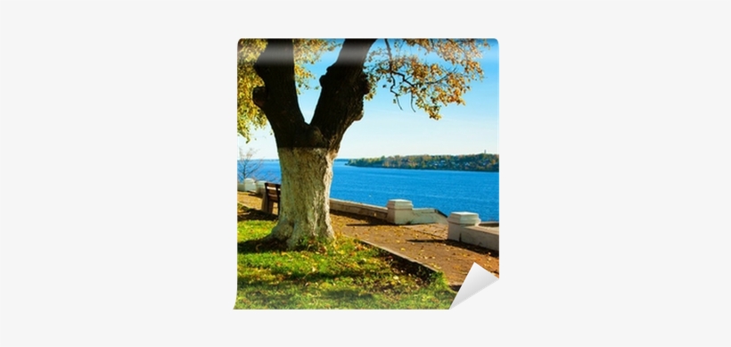 Landscape Painting, transparent png download