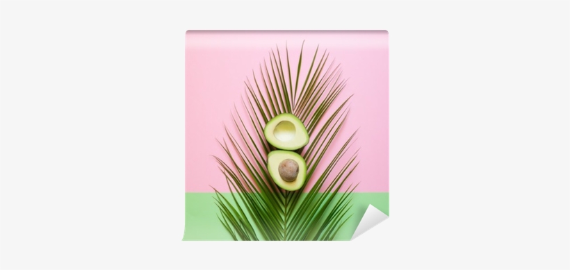 Ripe Avocado On Palm Leaf On A Colored Background - Palmiye Yaprağı Hd Duvar Kağıdı, transparent png download