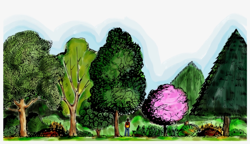 15 Nov - Illustration, transparent png download
