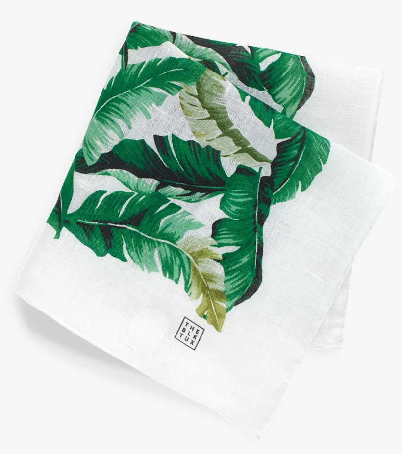 Tuxedo, transparent png download