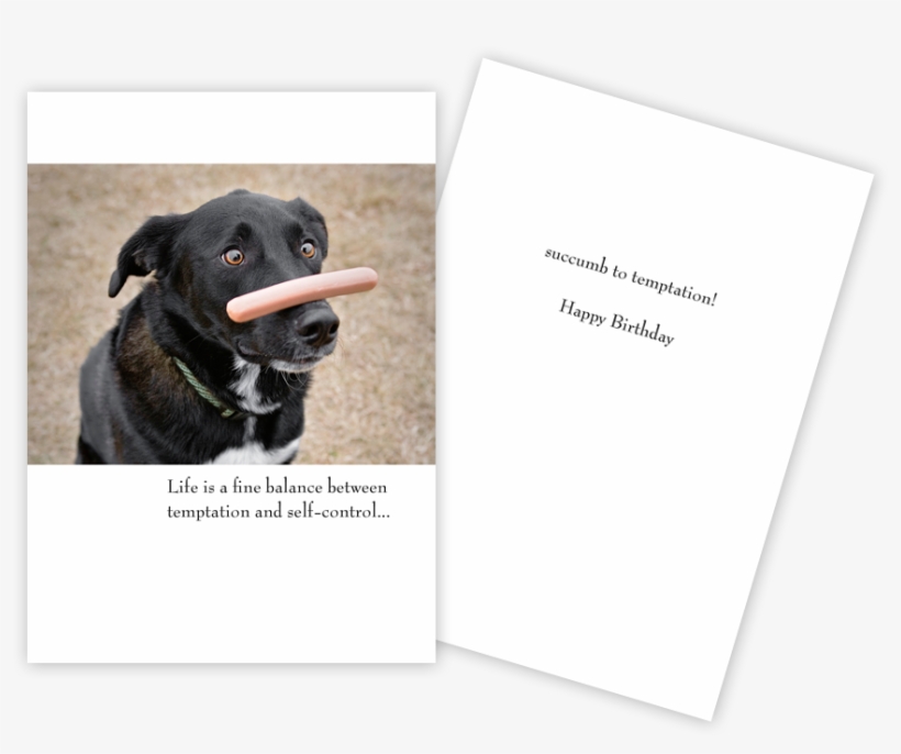 Happy Birthday Card Black Lab - 4-pin Ac Adapter For Vantec Nexstar Nst-360u2 Nst-360uf, transparent png download