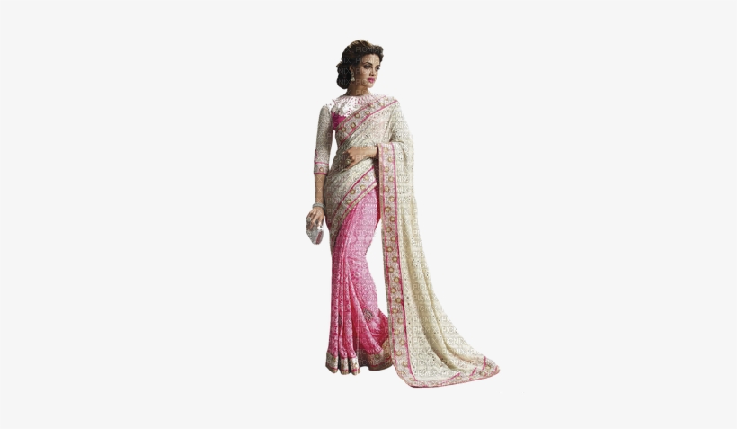 Tube - Wedding Sari, transparent png download