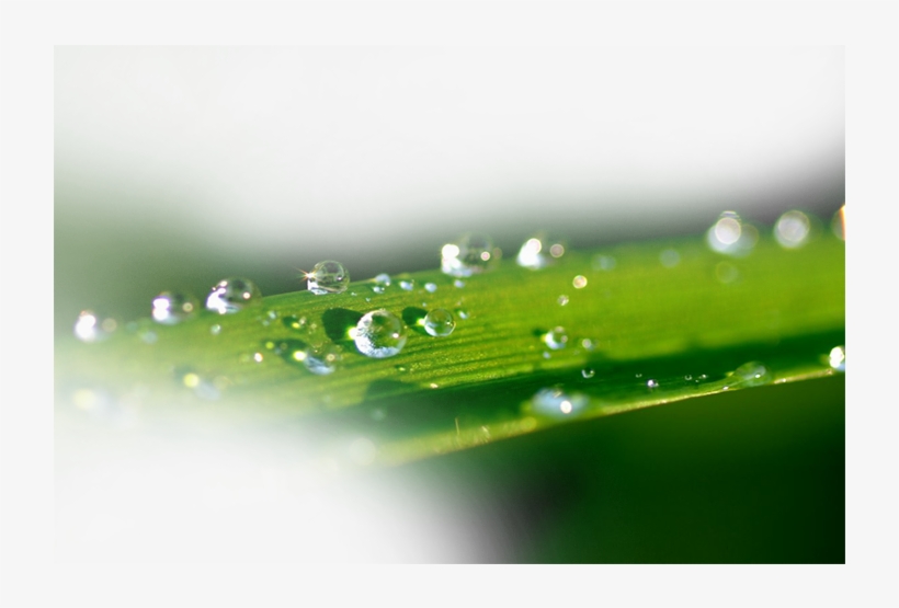 Water Splash Transprent Png Free Download - Clip Art, transparent png download