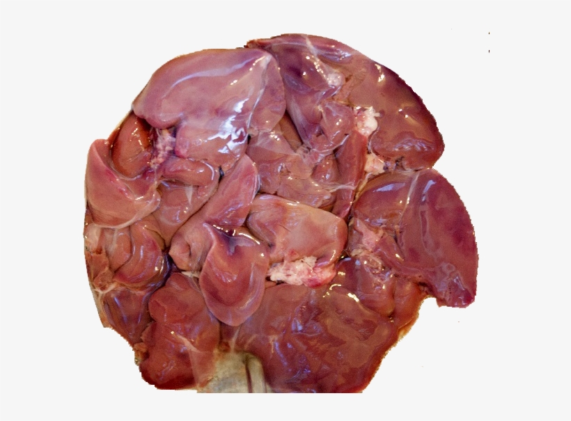 Liver Copy - Chicken Kaleji Png, transparent png download