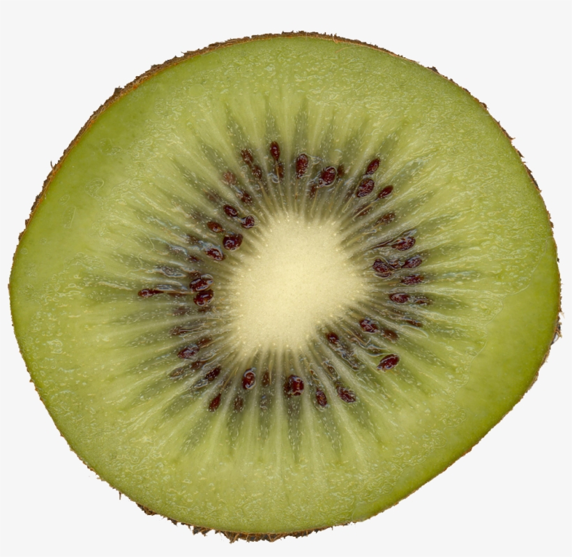 Qubodup-kiwi - Kiwi Slice, transparent png download