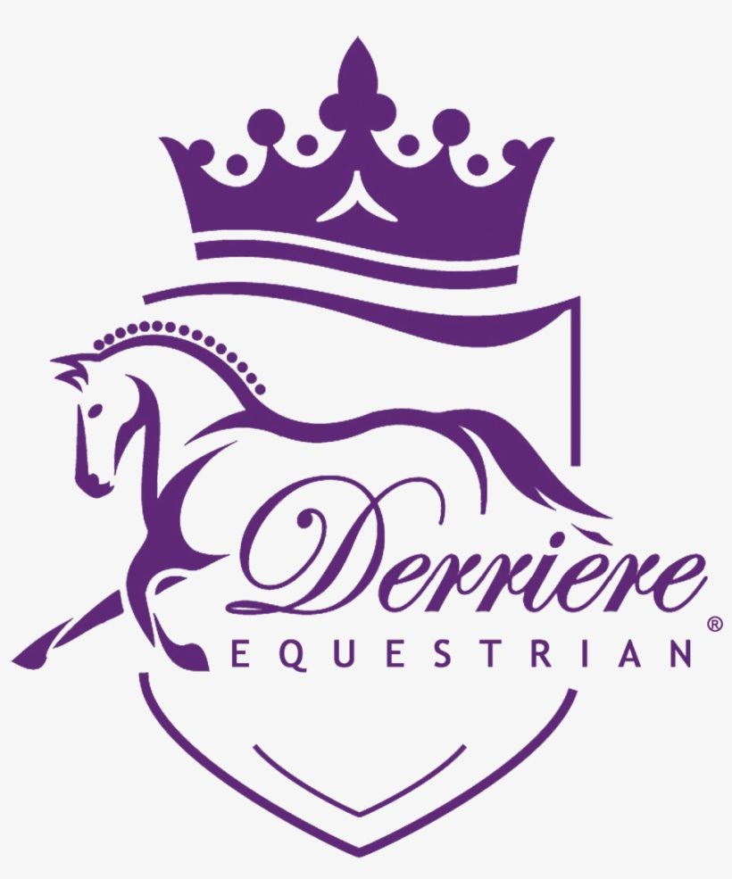 With A Wealth Of Business Experience In The Veterinary - Panties, transparent png download