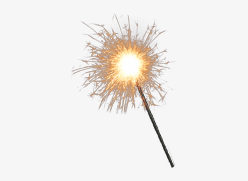 Below What You Want We Will Try To Upload That For - Dandelion, transparent png download
