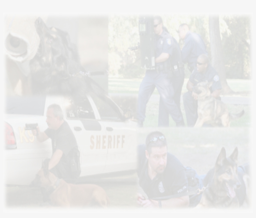 Free Tests Rh Policeacademystudyguides - Test, transparent png download