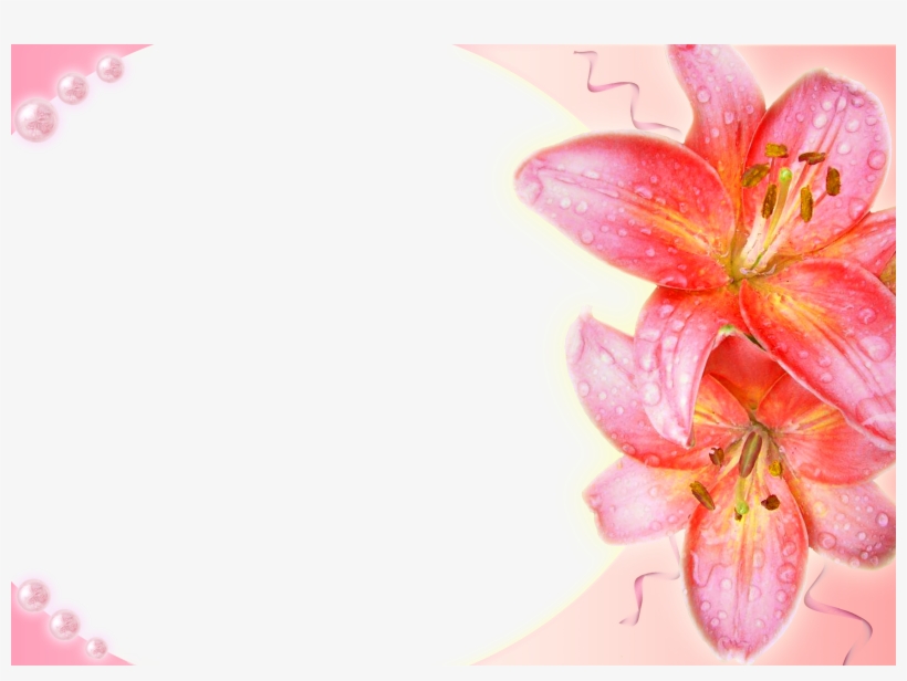 Transparent Wedding Frames Photoshop - Photoshop, transparent png download