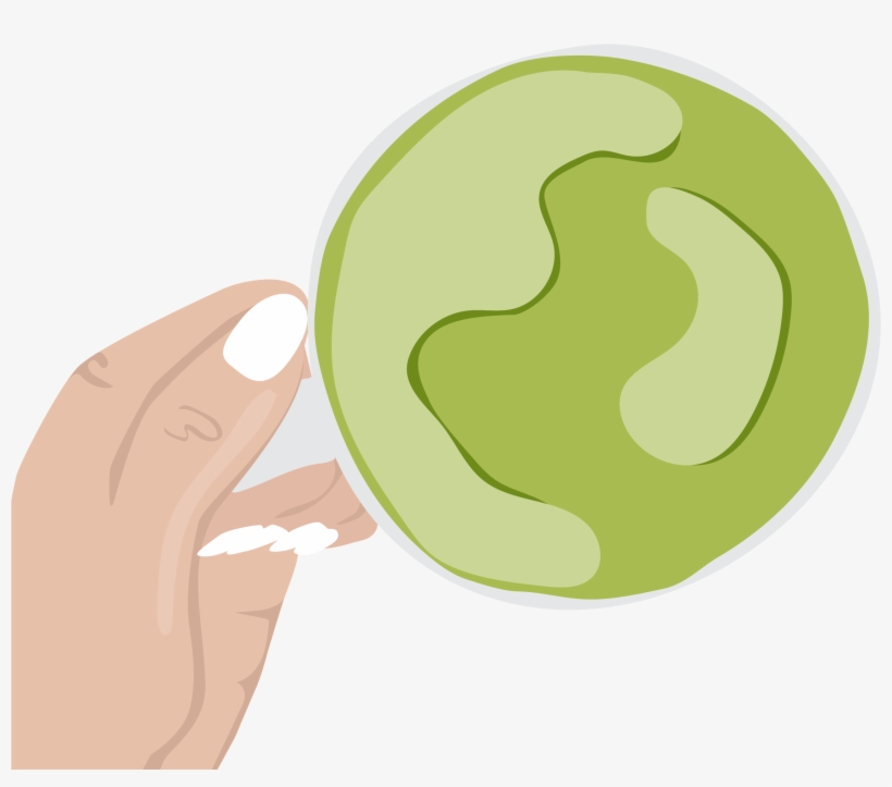 Wellness Illustrations - Illustration, transparent png download