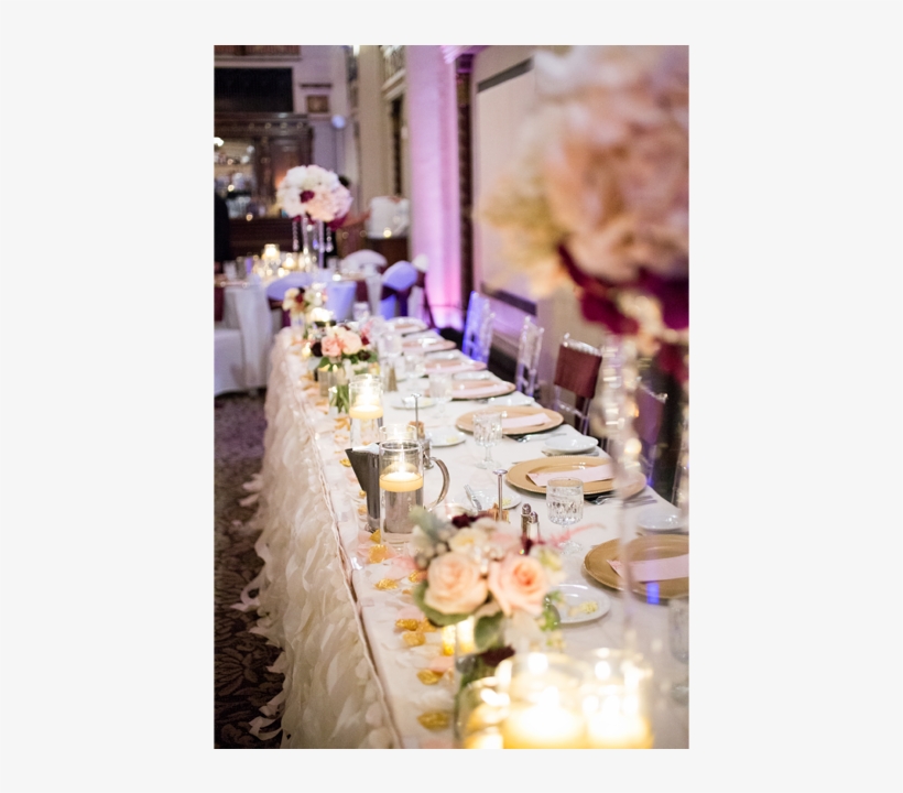 Photographer, transparent png download