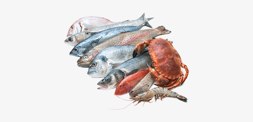 Seafood - Sea Foods Images Png, transparent png download