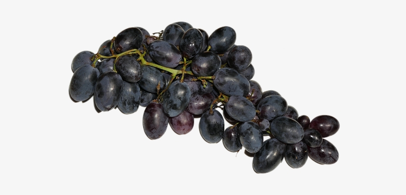 Grapes, Blue, Fruit, Fruits, Eat, Food - Grape, transparent png download