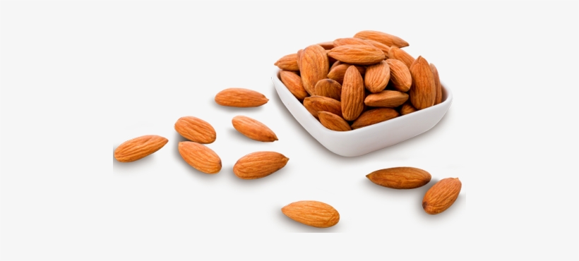 Lime - Almond, transparent png download