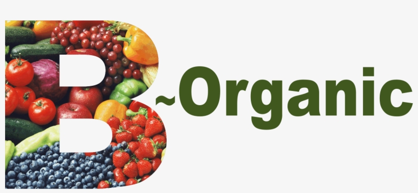 Logos - Physical Organic Chemistry [book], transparent png download