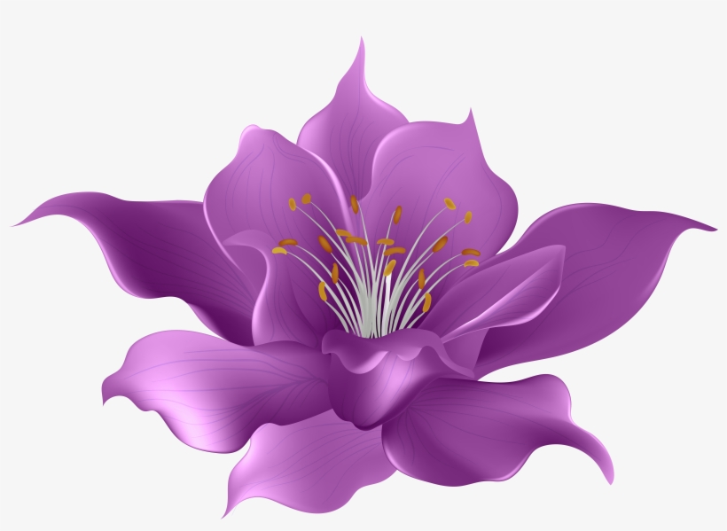 0, - Magnolia Flower, transparent png download