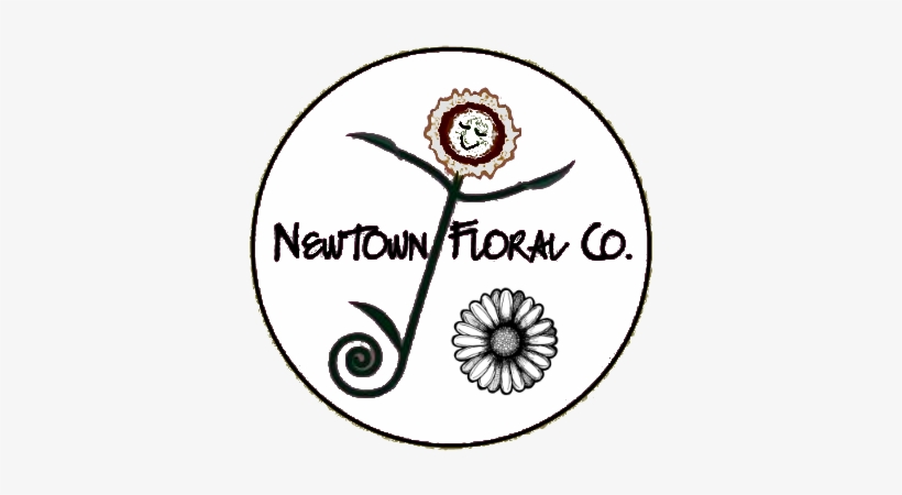 Newtown Floral Company - Zazzle Gänseblümchen-kunst-hölzerne Wand Holzleinwand, transparent png download