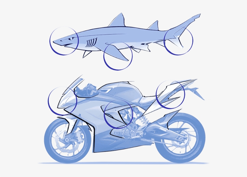 Ye Bike 160kmph Dikha Deti Hai - Tvs 310 Rr Design, transparent png download