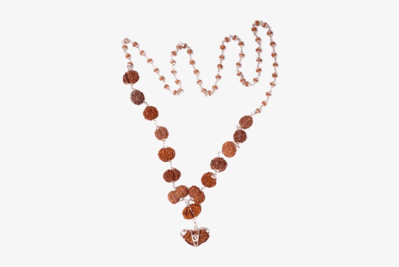 Multi Combination Multiple Purpose Rudraksha Mala 15 - Rudraksha, transparent png download