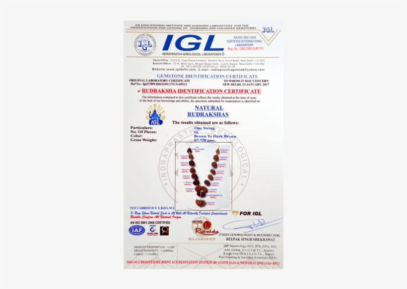 Multi Combination Multiple Purpose Rudraksha Mala - Blue Sapphire / Neelam / Nilam - 4.60 Ct - Lab Certified, transparent png download