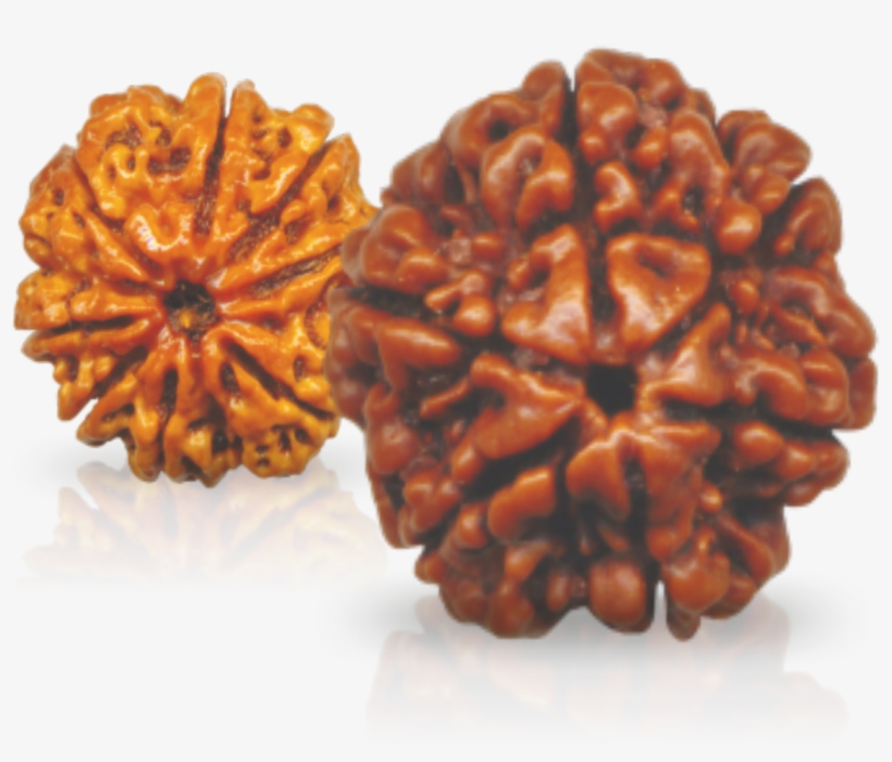 Central Cottage Industries Corporation Of India Is, transparent png download