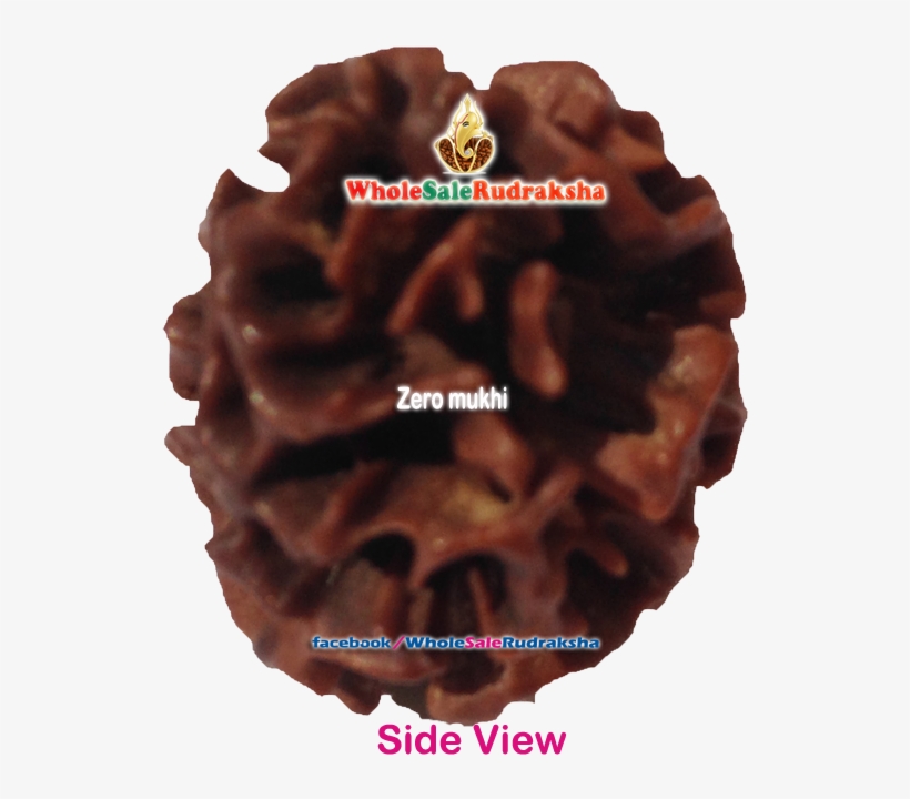 Zero Mukhi Rudraksha Https - Personas Firefox, transparent png download